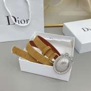 Uubags Dior Médaillon Belt Marron Bobby Brown Suede Calfskin With Silver Buckle 2.5cm - 6