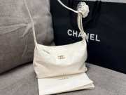Uubags Chanel Mini Hobo Bag Quilted Leather In White 23x13x8cm - 1