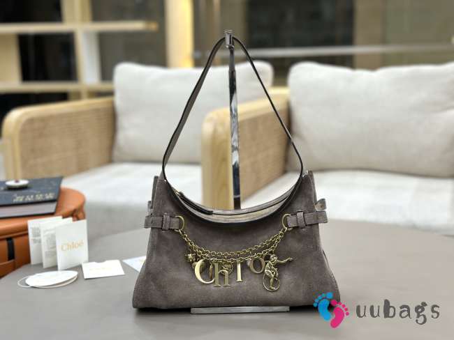 Uubags Small Chloé Embellished Suede Shoulder Bag In Grey 13x24x11cm - 1