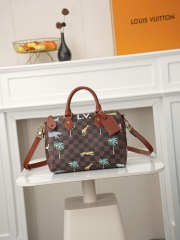 Uubags Louis Vuitton N40857 Speedy 25 Bandoulière x The Darjeeling Bag In Brown 25x15x15cm - 1