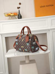 Uubags Louis Vuitton N40857 Speedy 25 Bandoulière x The Darjeeling Bag In Brown 25x15x15cm - 6