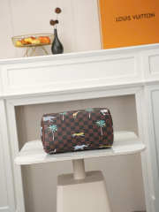 Uubags Louis Vuitton N40857 Speedy 25 Bandoulière x The Darjeeling Bag In Brown 25x15x15cm - 5